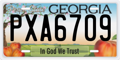 GA license plate PXA6709