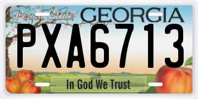 GA license plate PXA6713