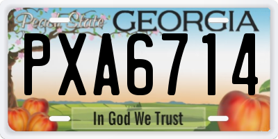 GA license plate PXA6714