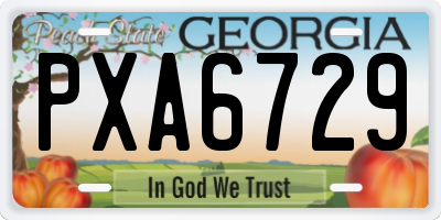 GA license plate PXA6729