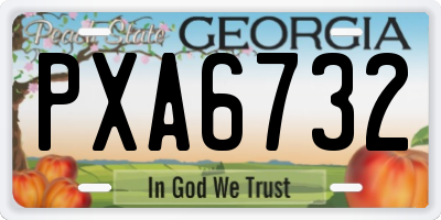 GA license plate PXA6732