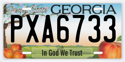 GA license plate PXA6733