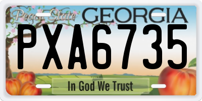 GA license plate PXA6735