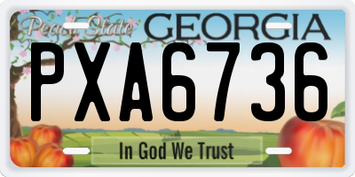 GA license plate PXA6736