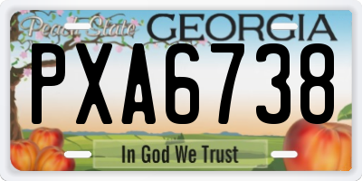 GA license plate PXA6738