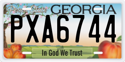 GA license plate PXA6744