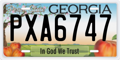 GA license plate PXA6747