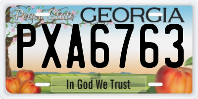 GA license plate PXA6763