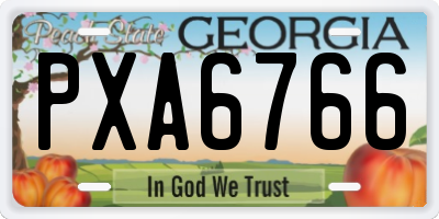 GA license plate PXA6766
