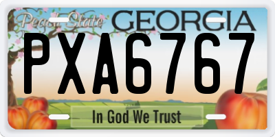 GA license plate PXA6767