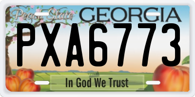 GA license plate PXA6773