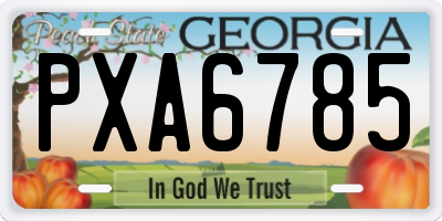GA license plate PXA6785