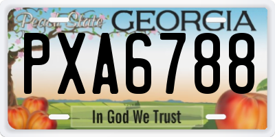 GA license plate PXA6788
