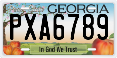 GA license plate PXA6789