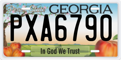 GA license plate PXA6790