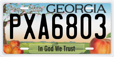 GA license plate PXA6803
