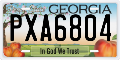 GA license plate PXA6804