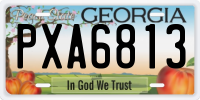 GA license plate PXA6813