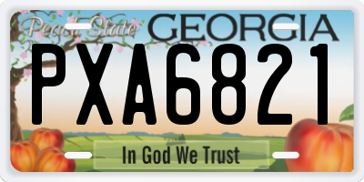 GA license plate PXA6821