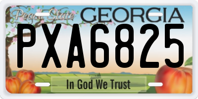 GA license plate PXA6825