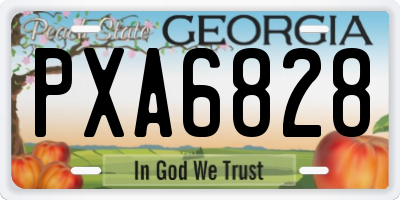 GA license plate PXA6828