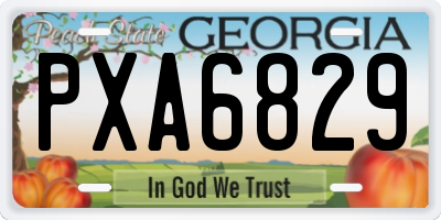 GA license plate PXA6829