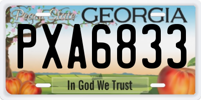 GA license plate PXA6833