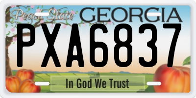 GA license plate PXA6837