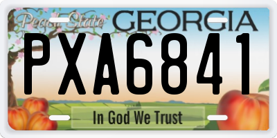 GA license plate PXA6841