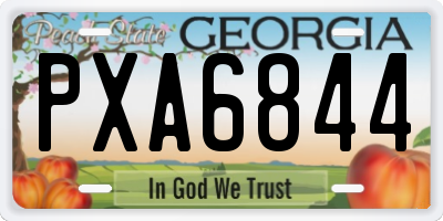 GA license plate PXA6844