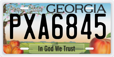 GA license plate PXA6845