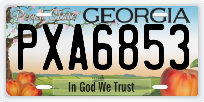 GA license plate PXA6853