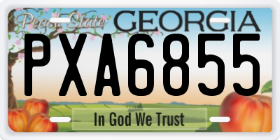 GA license plate PXA6855
