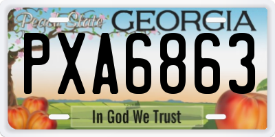 GA license plate PXA6863