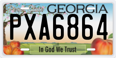 GA license plate PXA6864