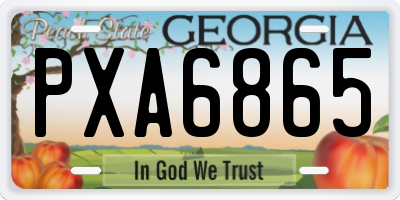 GA license plate PXA6865