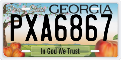 GA license plate PXA6867