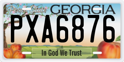 GA license plate PXA6876