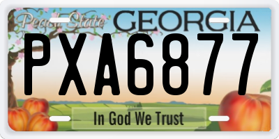 GA license plate PXA6877