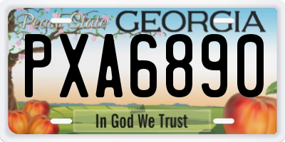 GA license plate PXA6890