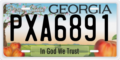 GA license plate PXA6891