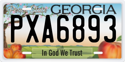 GA license plate PXA6893