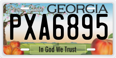 GA license plate PXA6895