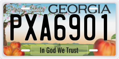 GA license plate PXA6901