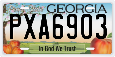 GA license plate PXA6903
