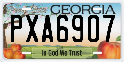 GA license plate PXA6907