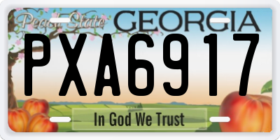 GA license plate PXA6917