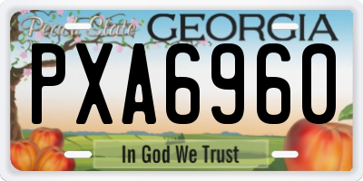 GA license plate PXA6960