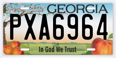 GA license plate PXA6964