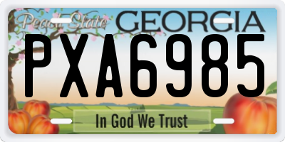 GA license plate PXA6985